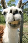 ESXO's Avatar